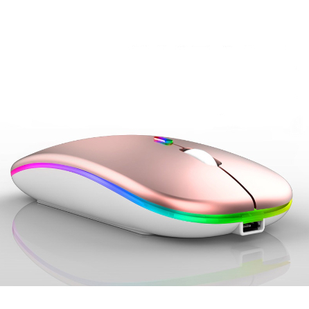 Mouse Sem Fio Recarregável Wireless Led Rgb Ergonômico Novo