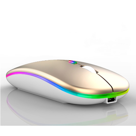 Mouse Sem Fio Recarregável Wireless Led Rgb Ergonômico Novo