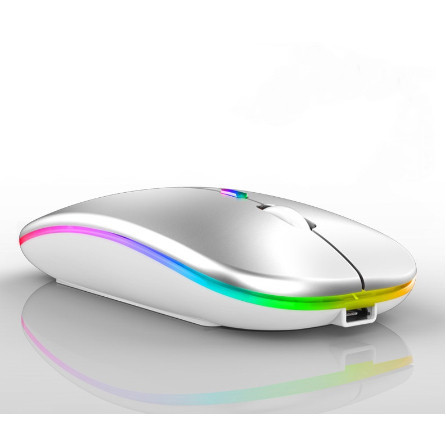 Mouse Sem Fio Recarregável Wireless Led Rgb Ergonômico Novo
